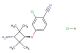 4-((1r,3r)-3-amino-2,2,4,4-tetramethylcyclobutoxy)-2-chlorobenzonitrile hydrochloride