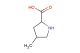 4-Methyl-2-pyrrolidine carboxlic acid
