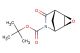 (1S,2R,4S,5R)-tert-butyl 7-oxo-3-oxa-6-azatricyclo[3.2.1.02,4]octane-6-carboxylate