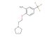 2-(2-(pyrrolidin-1-yl)ethoxy)-5-(trifluoromethyl)aniline