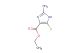 ethyl 2-amino-5-fluoro-1H-imidazole-4-carboxylate