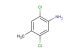 2,5-dichloro-4-methylaniline