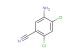 5-amino-2,4-dichlorobenzonitrile