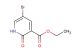 ethyl 5-bromo-2-oxo-1,2-dihydropyridine-3-carboxylate