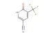 6-oxo-5-(trifluoromethyl)-1,6-dihydropyridine-3-carbonitrile