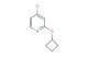 4-chloro-2-cyclobutoxypyridine