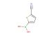 (5-cyanothiophen-2-yl)boronic acid
