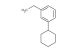 1-cyclohexyl-3-ethylbenzene