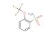 2-(trifluoromethoxy)benzenesulfonamide