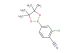 2-chloro-4-(4,4,5,5-tetramethyl-1,3,2-dioxaborolan-2-yl)benzonitrile