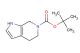 tert-butyl 4,5-dihydro-1H-pyrrolo[2,3-c]pyridine-6(7H)-carboxylate
