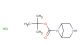 tert-butyl 3,6-diazabicyclo[3.1.1]heptane-6-carboxylate hydrochloride