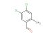4,5-dichloro-2-methylbenzaldehyde