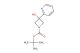 tert-butyl 3-hydroxy-3-(pyridin-2-yl)azetidine-1-carboxylate