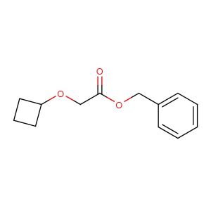 benzyl 2-cyclobutoxyacetate