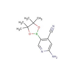 2-amino-5-(4,4,5,5-tetramethyl-1,3,2-dioxaborolan-2-yl)isonicotinonitrile