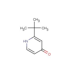 2-tert-butylpyridin-4(1H)-one