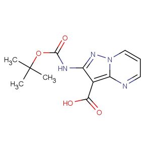 2-(tert-butoxycarbonylamino)pyrazolo[1,5-a]pyrimidine-3-carboxylic acid