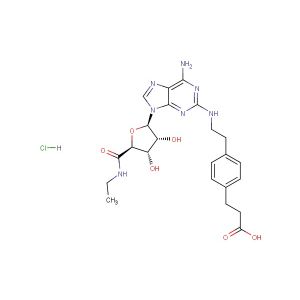 CGS 21680 Hydrochloride