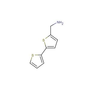 2,2'-bithiophen-5-ylmethanamine
