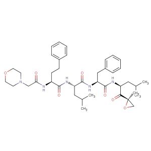 Carfilzomib  (Synonyms: PR-171)
