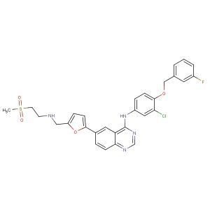 Lapatinib (Synonyms: GW572016; GW2016)