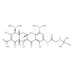 Tigecycline  (Synonyms: GAR-936)