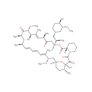 Rapamycin  (Synonyms: Sirolimus; AY-22989; NSC 226080)