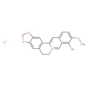 Berberrubine chloride
