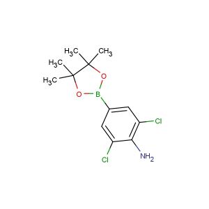 2,6-dichloro-4-(4,4,5,5-tetramethyl-1,3,2-dioxaborolan-2-yl)aniline
