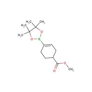 methyl 4-(4,4,5,5-tetramethyl-1,3,2-dioxaborolan-2-yl)cyclohex-3-enecarboxylate