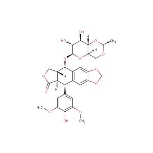 Etoposide (Synonyms: VP-16; VP-16-213)