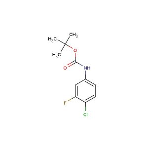 tert-butyl 4-chloro-3-fluorophenylcarbamate