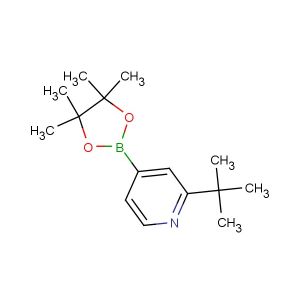 2-(tert-butyl)-4-(4,4,5,5-tetramethyl-1,3,2-dioxaborolan-2-yl)pyridine