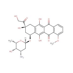 Doxorubicin; Adriamycin; Hydroxydaunorubicin