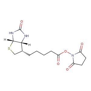 Biotin NHS  (Synonyms: Biotin N-hydroxysuccinimide ester; NHS-Biotin)