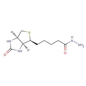 5-((3aS,4S,6aR)-2-oxohexahydro-1H-thieno[3,4-d]imidazol-4-yl)pentanehydrazide
