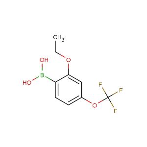 (2-ethoxy-4-(trifluoromethoxy)phenyl)boronic acid
