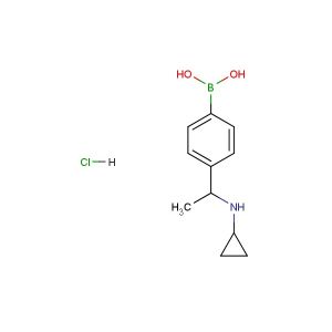 (4-(1-(cyclopropylamino)ethyl)phenyl)boronic acid hydrochloride