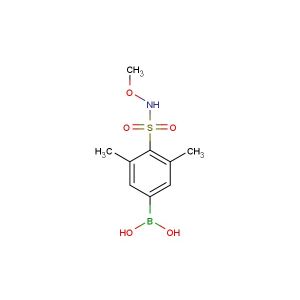 (4-(N-methoxysulfamoyl)-3,5-dimethylphenyl)boronic acid