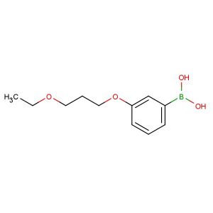 3-(3-ethoxypropoxy)phenylboronic acid