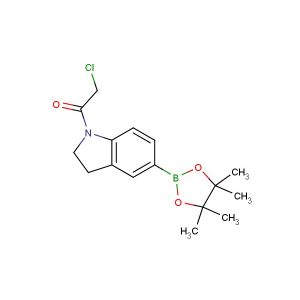 2-chloro-1-(5-(4,4,5,5-tetramethyl-1,3,2-dioxaborolan-2-yl)indolin-1-yl)ethanone