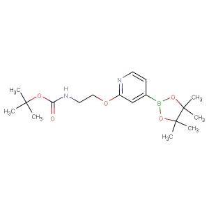 tert-butyl (2-((4-(4,4,5,5-tetramethyl-1,3,2-dioxaborolan-2-yl)pyridin-2-yl)oxy)ethyl)carbamate