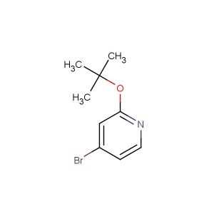 4-bromo-2-tert-butoxypyridine