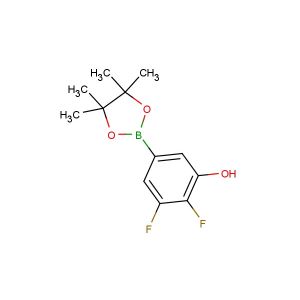 2,3-difluoro-5-(4,4,5,5-tetramethyl-1,3,2-dioxaborolan-2-yl)phenol