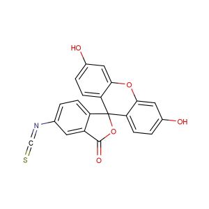 FITC  (Synonyms: Fluorescein 5-isothiocyanate)