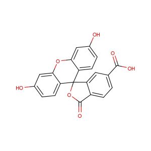 6-FAM  (Synonyms: 6-Carboxyfluorescein)