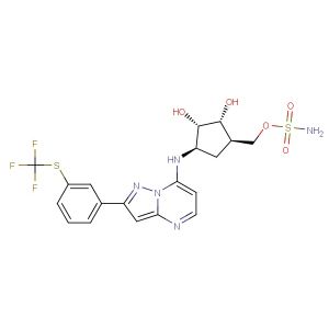 TAK-243(Synonyms: MLN7243)