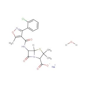 Cloxacillin sodium monohydrate