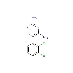 Lamotrigine(Synonyms: LTG; BW430C)